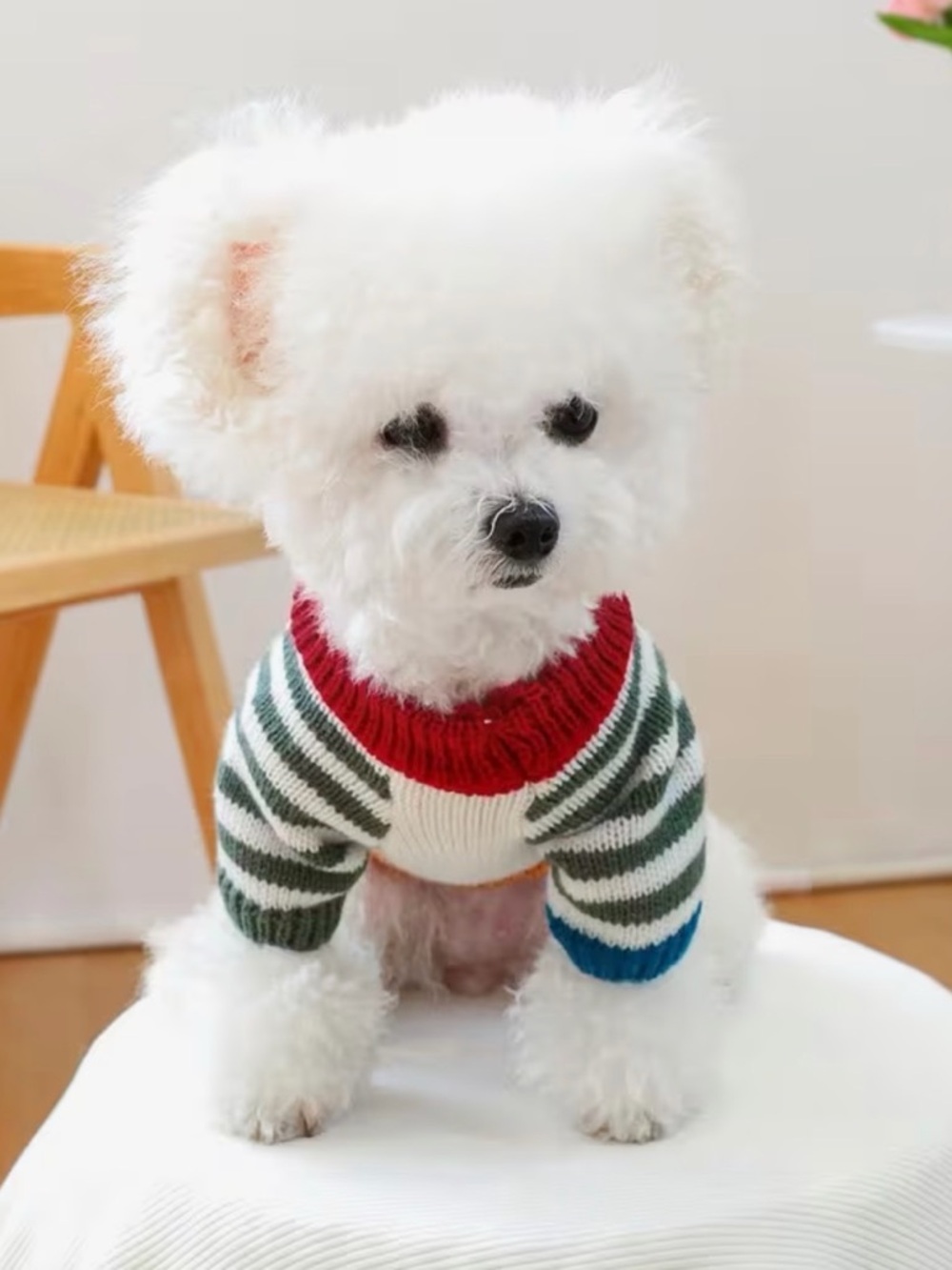 Striped Knit Cat or Dog Pet Sweater with Colorful Trim Sz M - Picture 6 of 9